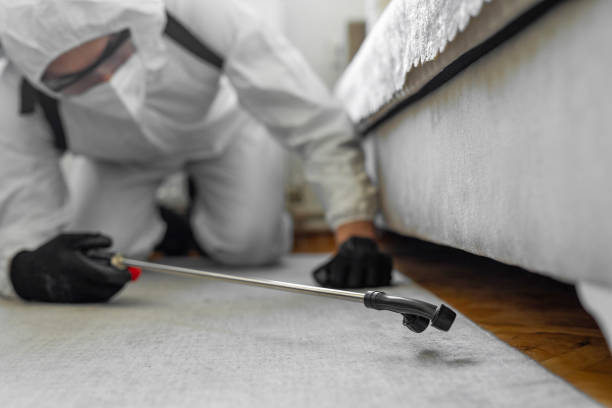 Professional Bed Bug Control technician working in Ascension Parish County, LA